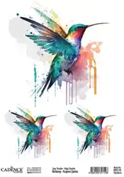 Cadence 25x35 easy Transfer birdsong Kolibri BRET-02