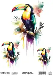 Cadence 25x35 easy transfer birdsong toekan