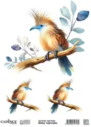 Cadence 25x35 easy transfer birdsong vogel blauwe snalvel BRET-07
